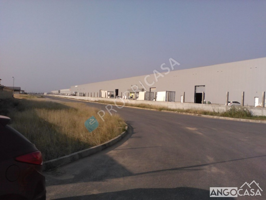 Armazém Em Viana Angocasa