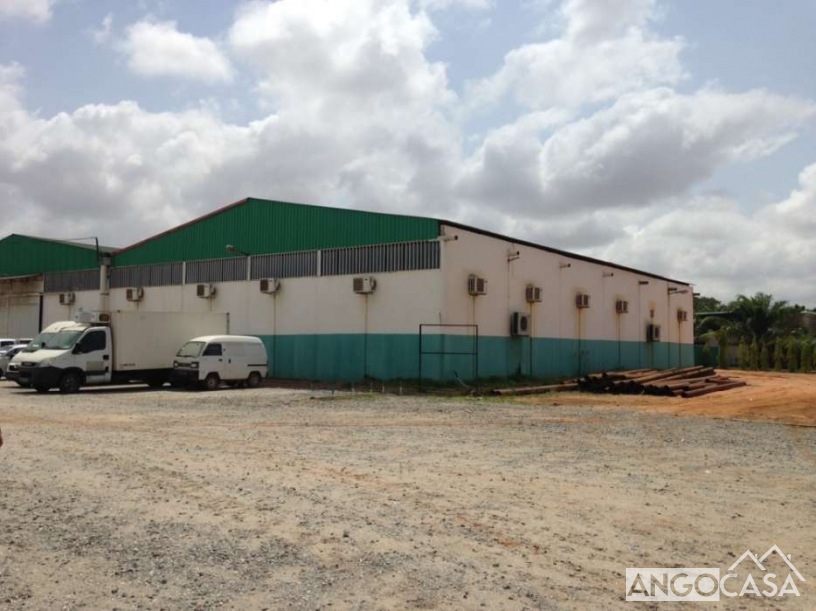 Armazém Em Viana Angocasa